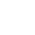 Silverfish